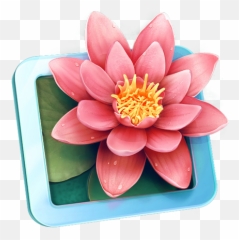 Set Of Mac Os Icons Behance - Flower Game Icon png