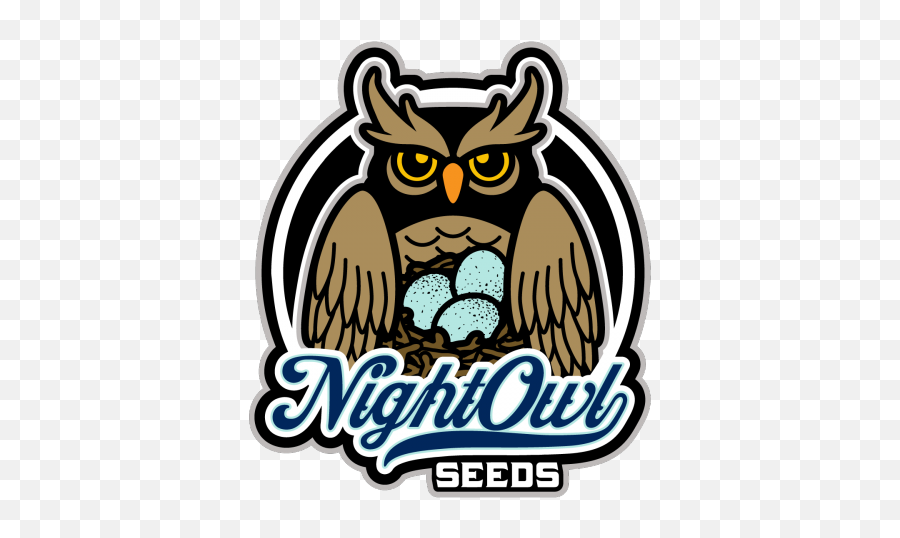 Wizardu0027s Apprentice Night Owl Seeds Strain Info - Growdiaries Nightowl Seeds Png,Night Owl Icon