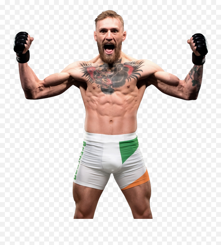 Download Free Png Conor Mcgregor - Transparent Conor Mcgregor Png,Conor Mcgregor Png