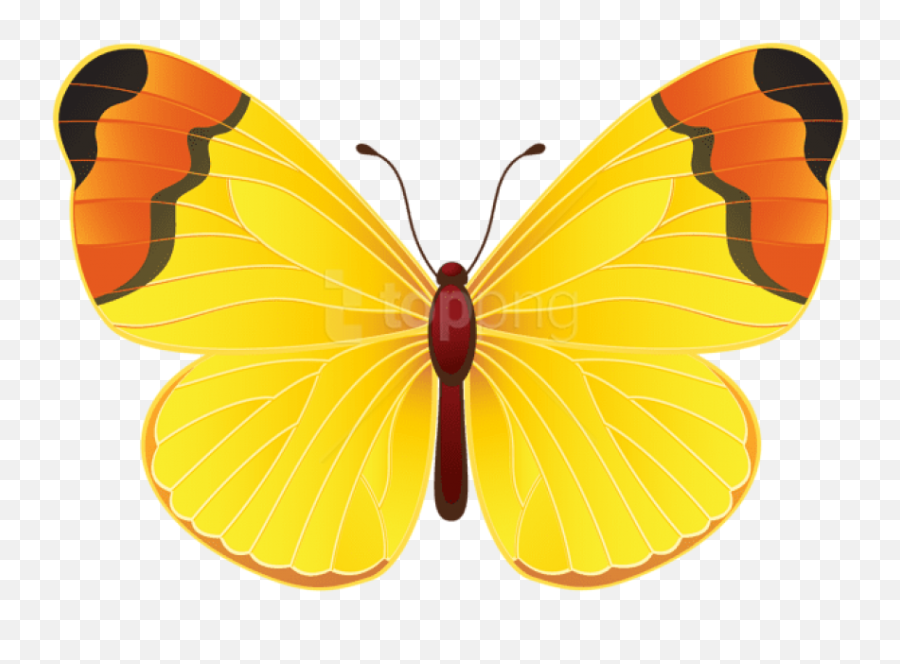 Gold Butterfly Png - Purple Yellow Butterfly Tattoo Yellow Butterfly Clip Art,Purple Butterfly Png