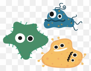 Bacteria Png - Clipart