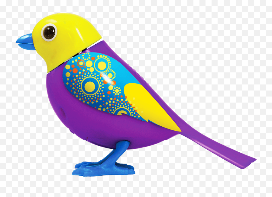 Download Bird - Sunbeam Bird Toy Clipart Full Size Png Bird Toy Clipart,Sunbeam Png
