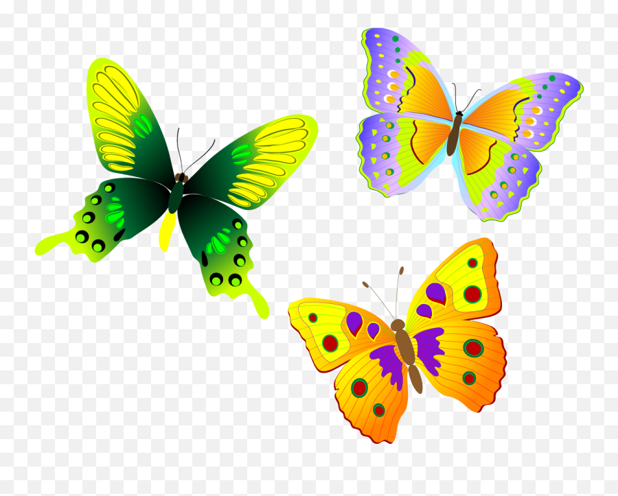 Download Monarch Butterfly Euclidean - Butterflies Png,Butterfly Vector Png