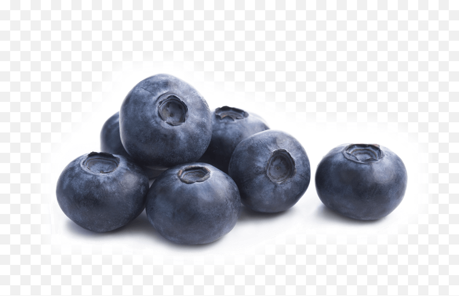 Single Blueberry Png Picture - Foods To Increase Beauty,Blueberries Png
