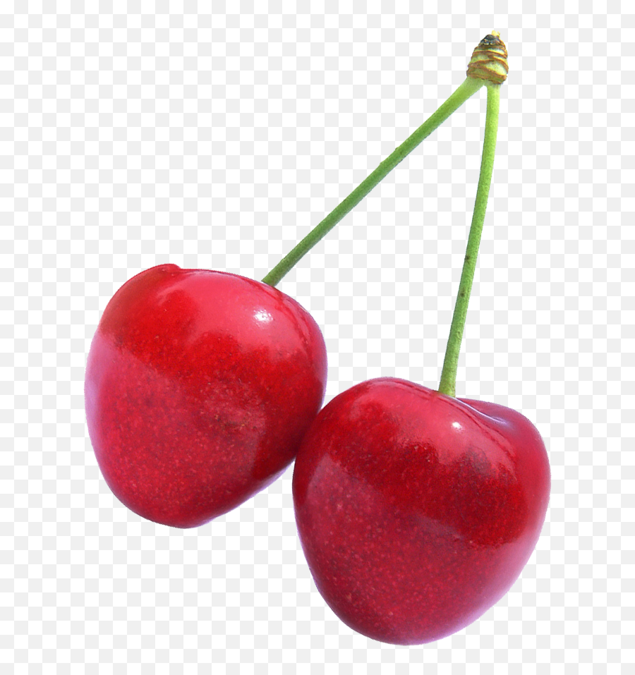 Download Cherry Fruit - Transparent Cherry Png Image With No Cherry Png,Cherry Png