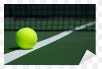 Tennis Ball With Net In The Background Sticker U2022 Pixers We Live To Change - Tennis Png,Tennis Ball Transparent Background