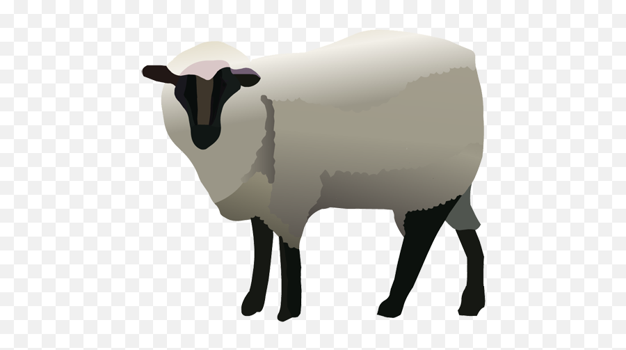 Download Hd Sheep Clipart Nativity Animal - Sheep Bighorn Png,Nativity Star Png