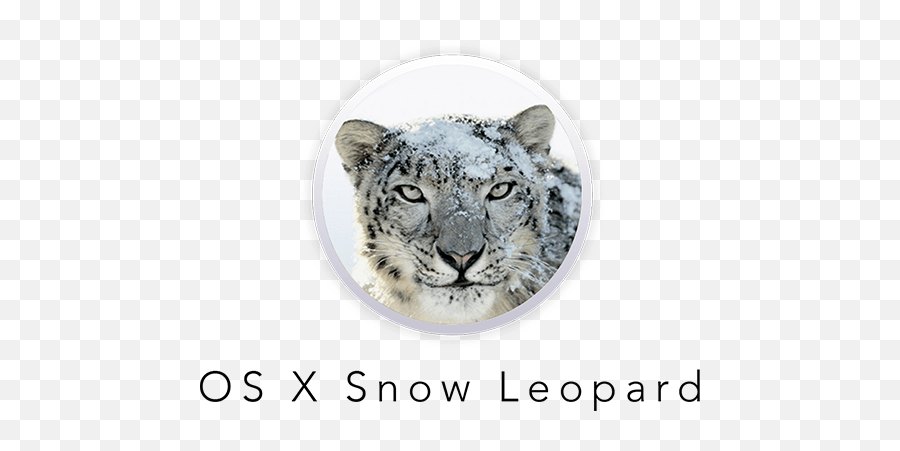 Index Of Ebay2images - Mac Os Snow Leopard Png,Snow Leopard Png
