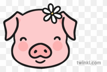 Piggy Face Cute Illustration - Twinkl Cute Pig Png Face,Cute Face Png