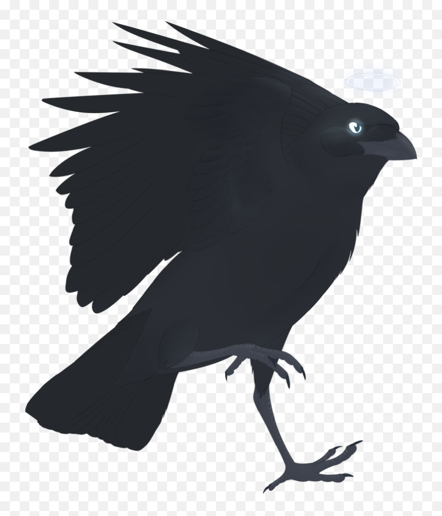Crow Drawing Pictures Free Download - Raven Png,Raven Silhouette Png