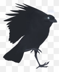 Crow Drawing Pictures Free Download - Raven png