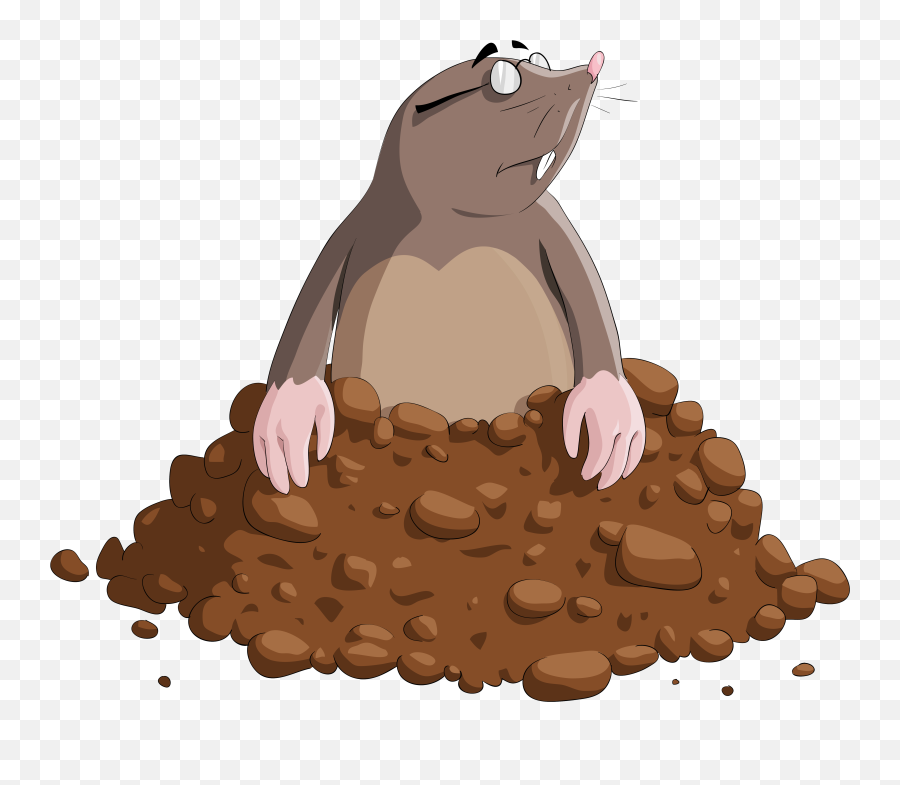 Download Mole Cartoon Png Clipart Image - Mole Illustration,Mole Png