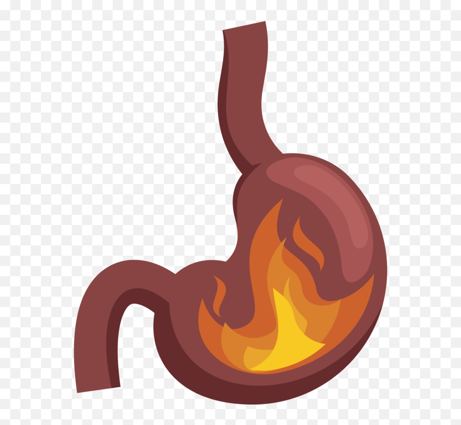 Stomach Food Orange Png Clipart - Stomach Pain Png,Stomach Png