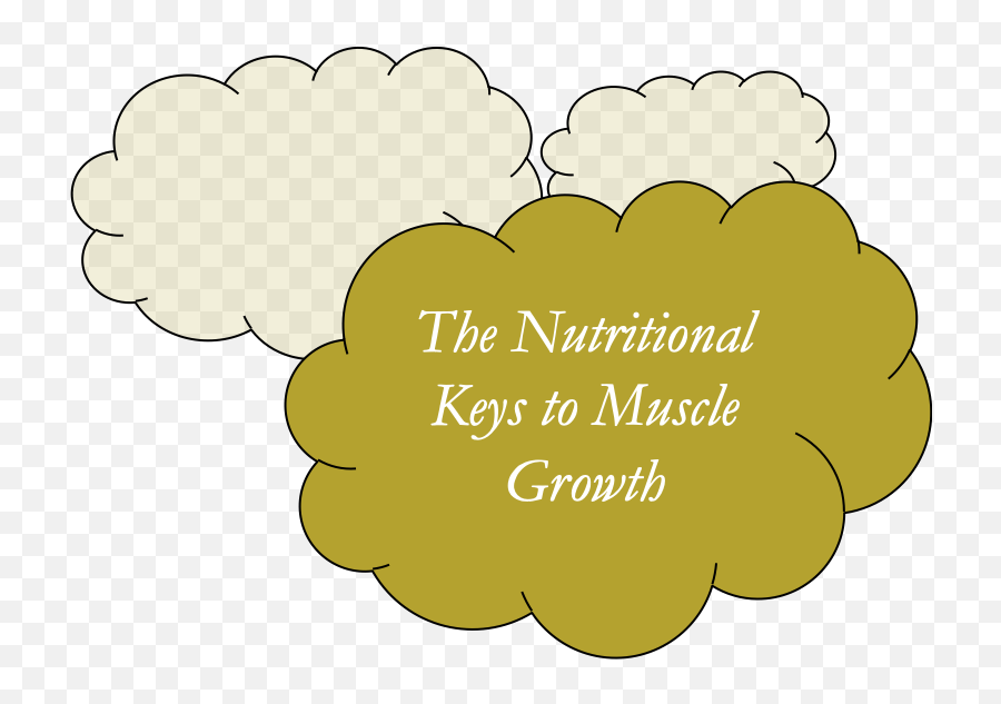 Nutrition For Muscle Growth - Big Png,Muscle Png