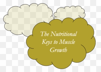 Nutrition For Muscle Growth - Big png