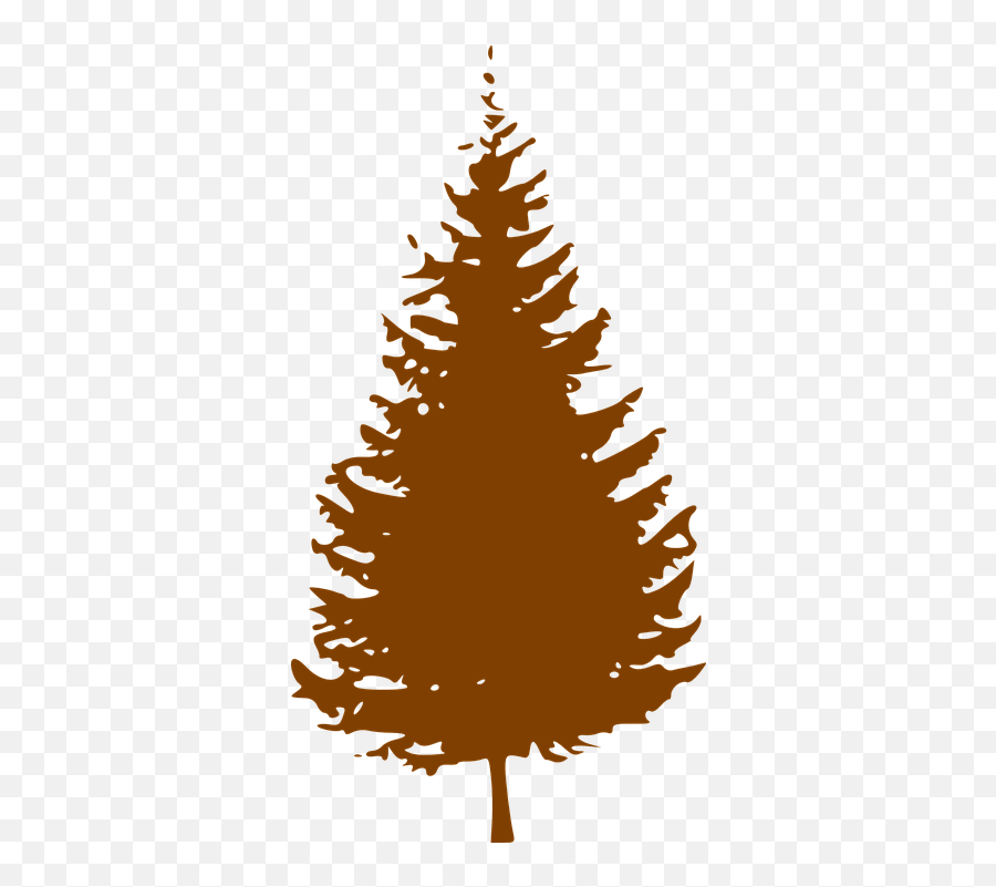 Pine Tree Silhouette Transparent Png - Silhouette Christmas Tree Clipart,Pine Trees Silhouette Png