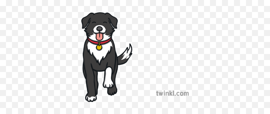 Ben The Dog Walking Forward Front Pet Animal Phonics Eyfs - Dog Walk Front Cartoon Png,Dog Walking Png