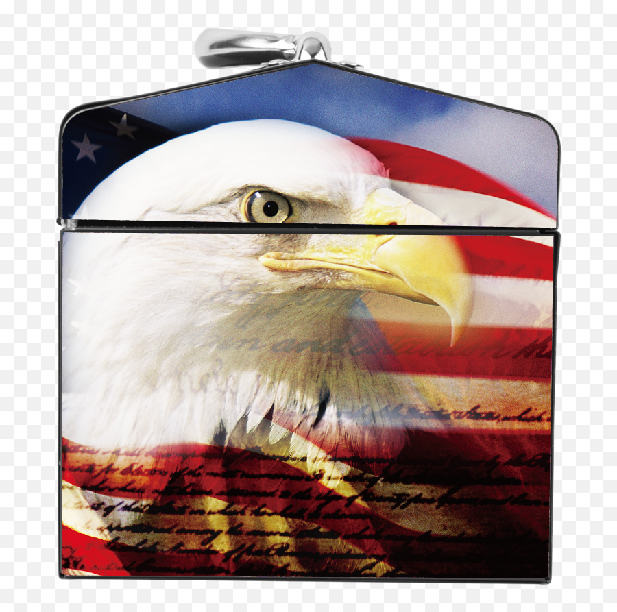 American Flag Eagle Portrat Steel Box U2013 Charlotte Tools - American Eagle Image For Facebook Png,American Flag Eagle Png