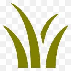 Grass Icon Png Transparent Images U2013 Free Vector - Vertical