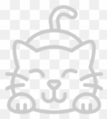 Purrfections Cattery Carrigallen Co Leitrim Donna Flynn Png