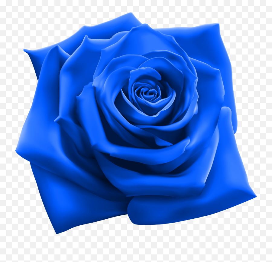 Blue Flower Clipart Png Flowers