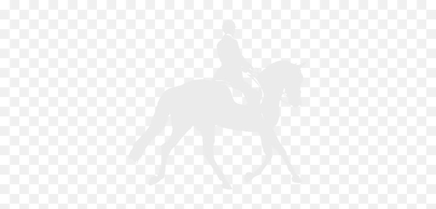 Horse Riding West Sussex - Bridle Png,Horse Rider Icon