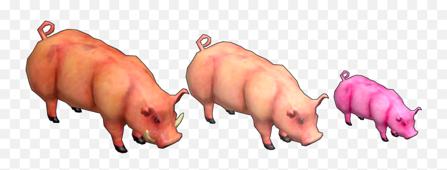 Pig - Ring Of Brodgar Domestic Pig Png,Piglet Png