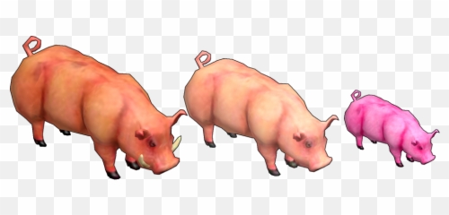 Pig - Ring Of Brodgar Domestic Pig Png,Piglet Png