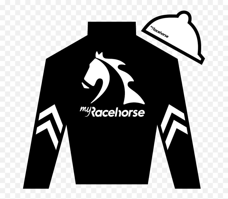 Horse Racing News - Super Stock Horse Silk Png,Racehorse Icon