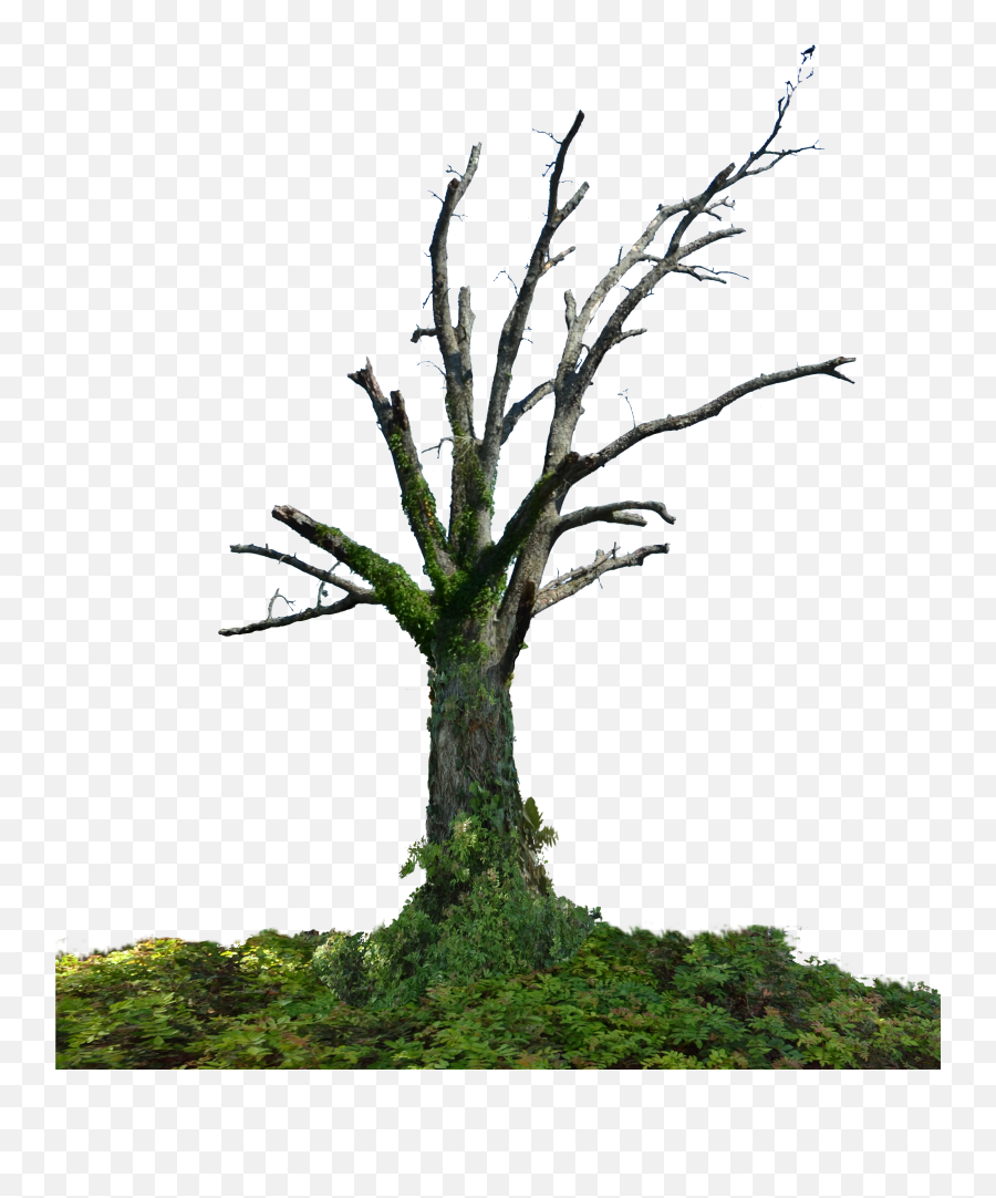 Screen Pixel - Dead Tree Png Hd,Dead Grass Png
