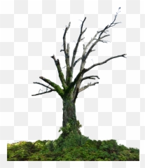 Screen Pixel - Dead Tree Png Hd