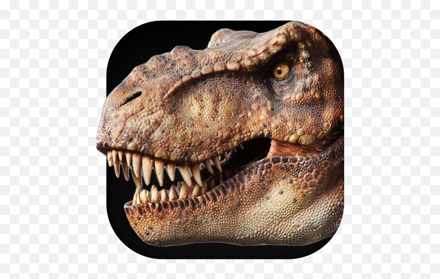 Dino T Rex 3d Live Wallpaper Apk 20 Download Latest Head Side Png - rex Icon