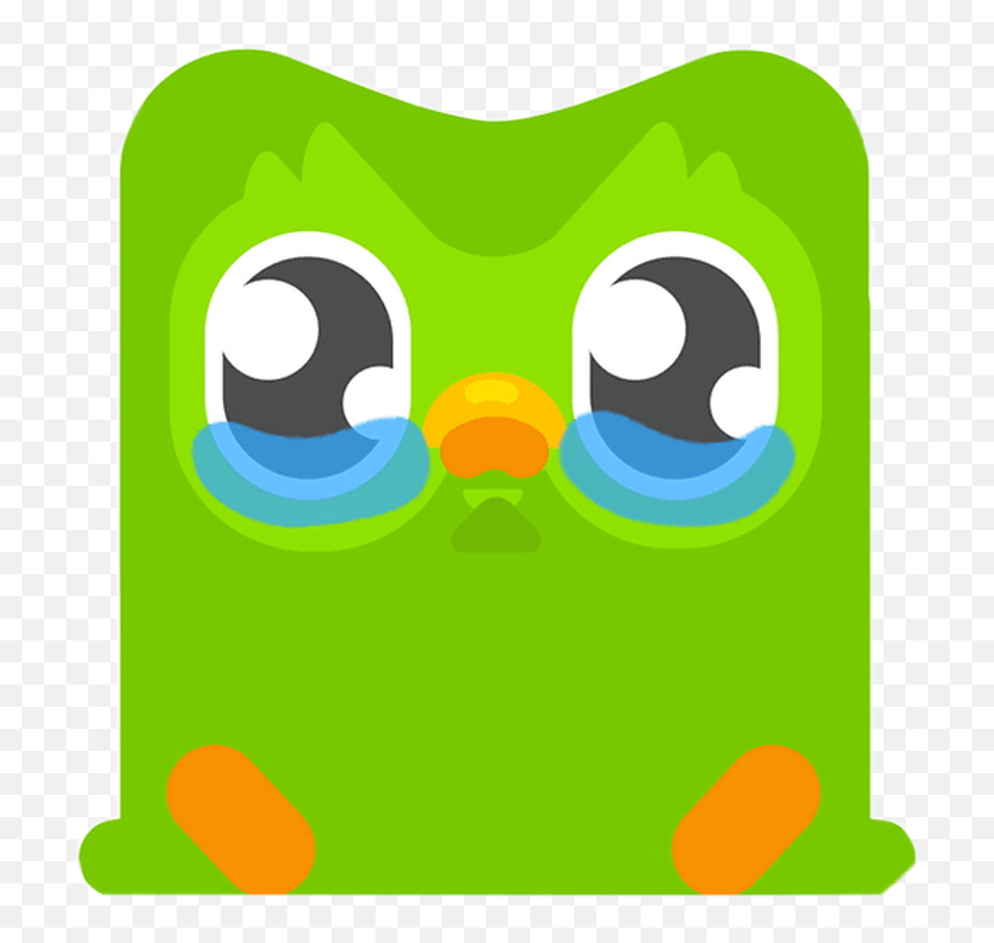 Duolingo Spanish Sad Icon 317567945477211 By Gabbybalderas - Duolingo Bird Memes Png,Weeping Icon