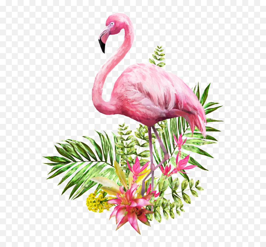 Transparent Background Watercolor - Transparent Background Flamingo Png,Flamingo Transparent Background