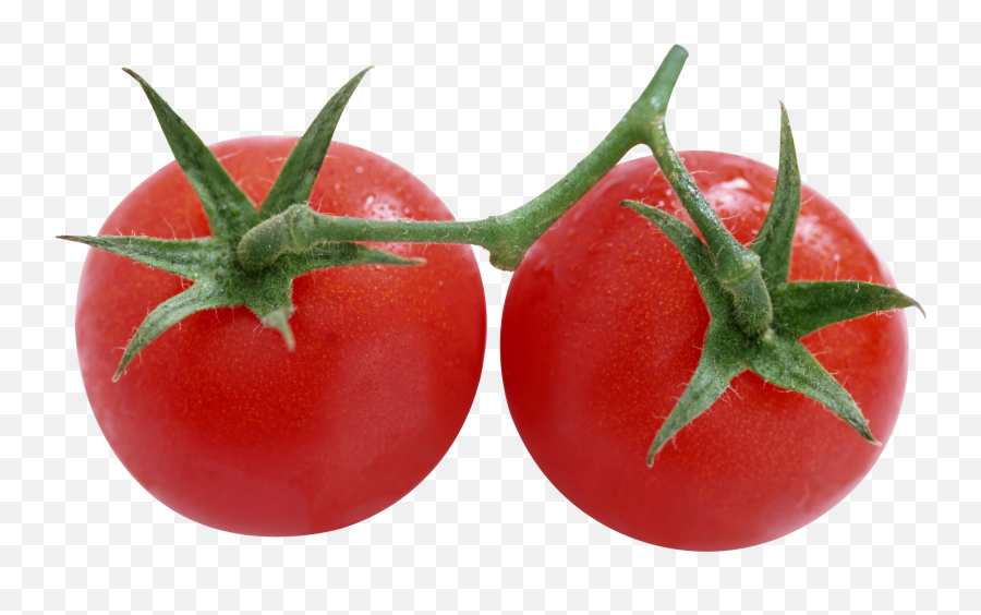 Tomato Icon Png - 2 Tomatoes Png,Tomato Clipart Png