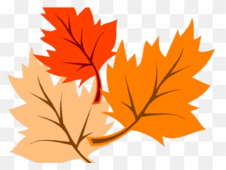 Autumn Border Png - Autumn Leaves Clipart Corner Border Hojas De Otoño Dibujo