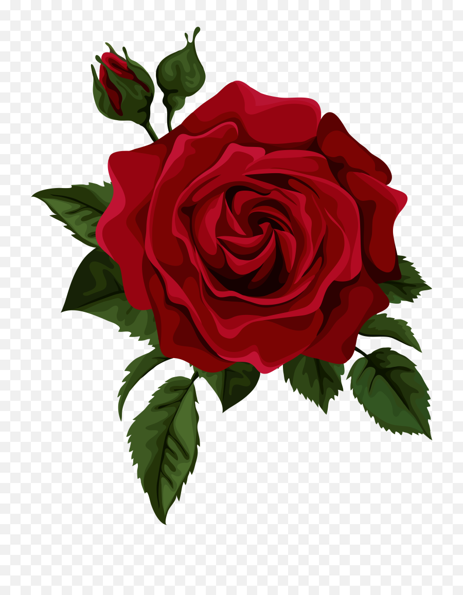 Download Redrose - Transparent Rose Png,Red Rose Png