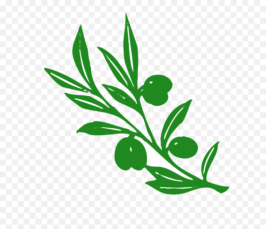 Olive Tree Nature - Olive Tree Athena Symbol Png,Olive Tree Png