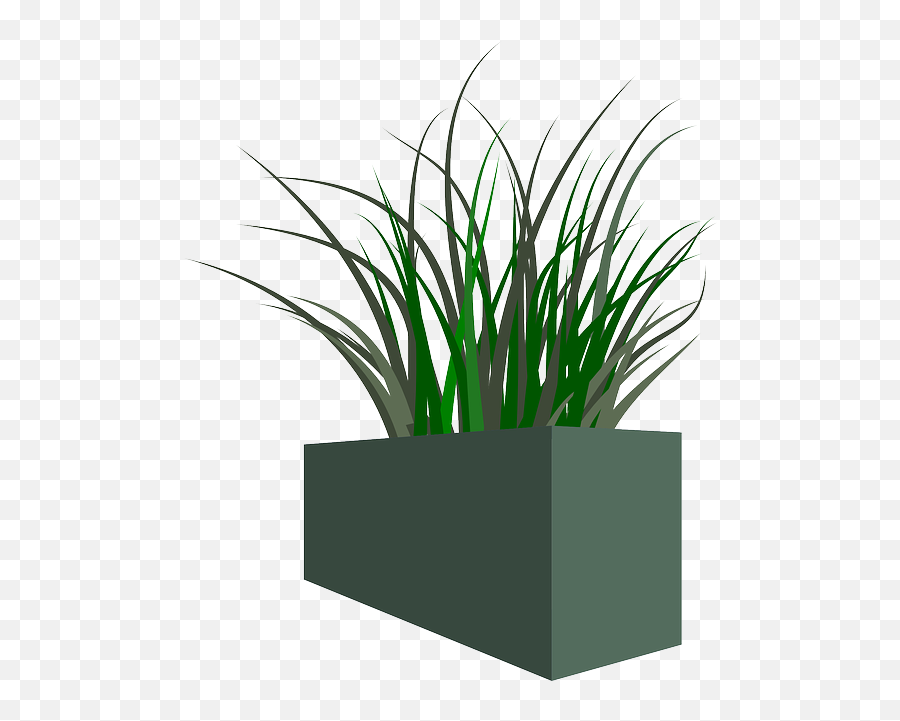 Pot Grass Plant Weeds - Transparent Background Plant Grass Png,Weeds Png