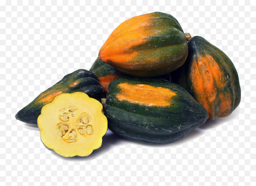 Download Acorn Squash Png Image - Free Transparent Png Acorn Squash,Acorn Transparent Background