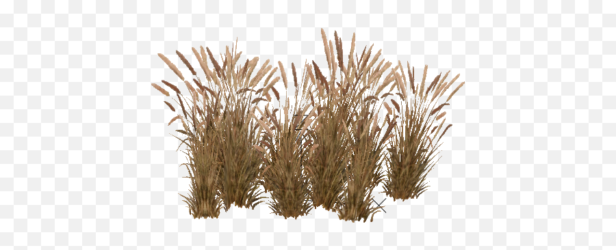 Png Image - Grass,Tall Grass Png