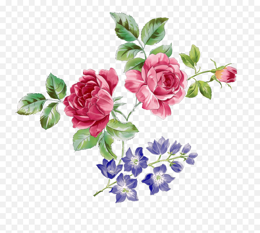 Red Rose Branch And Purple Flower Transparent - Watercolour Flowery Branch Painting Png,Branch Transparent