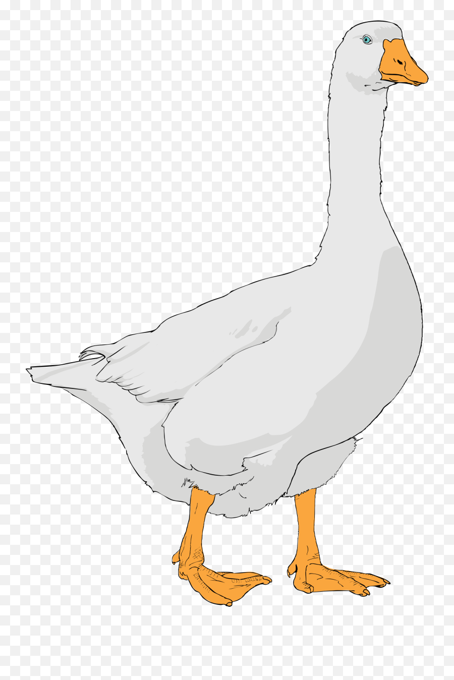 Goose Png Transparent Clipart Image - Goose Clipart,Goose Png