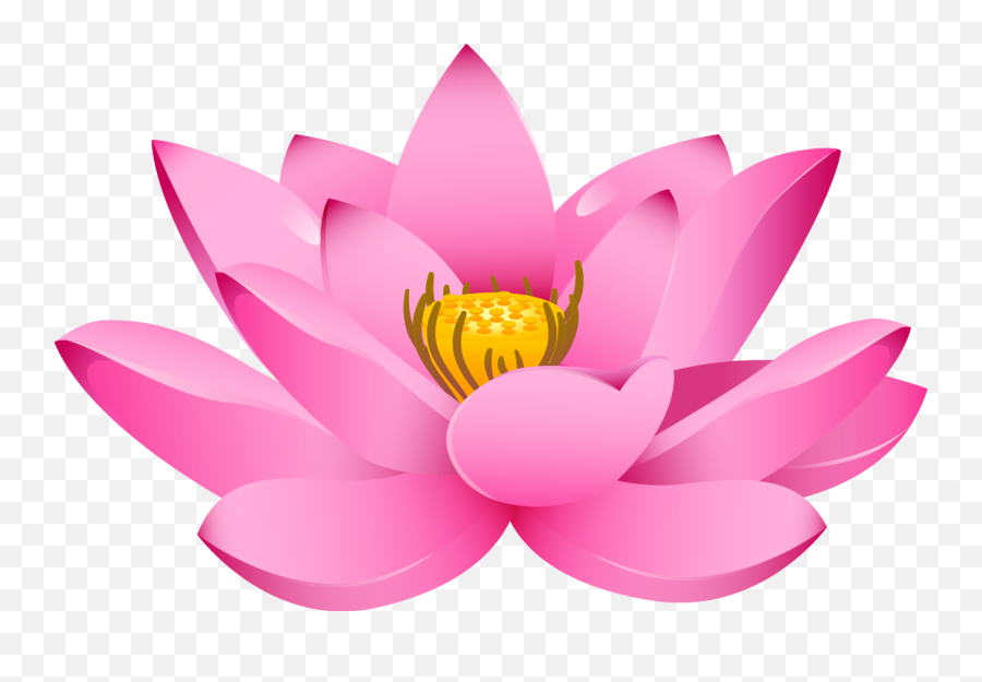 Lotus Png Transparent Images All - Clipart Lotus Flower Png,Lotus Transparent Background