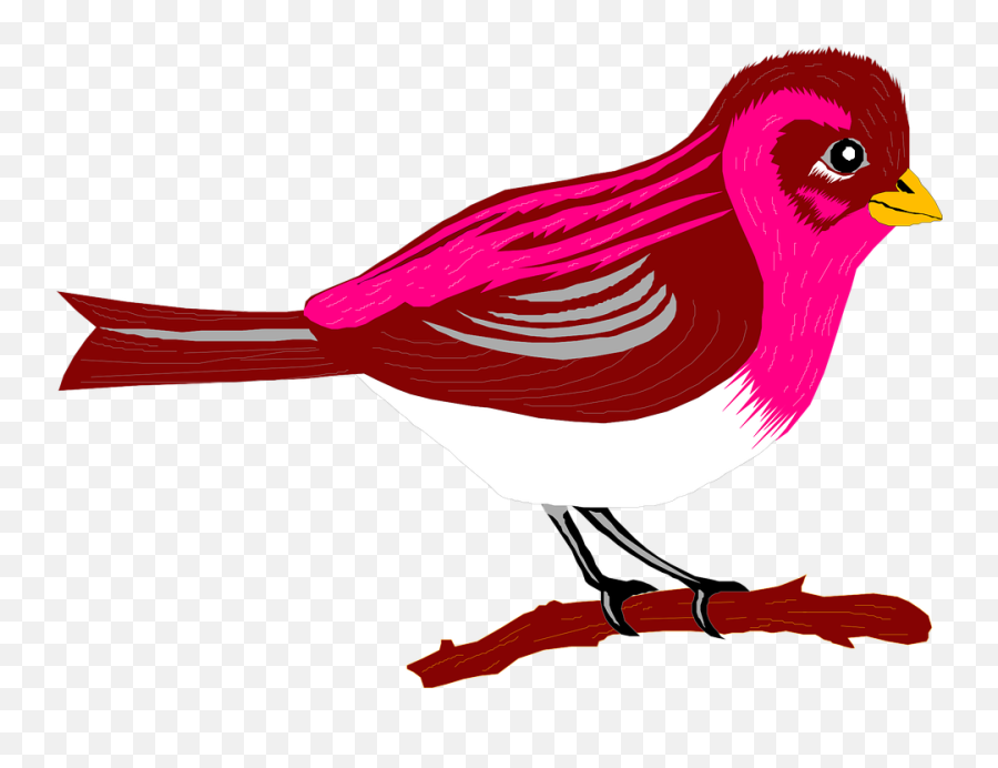 Transparent Pic Cartoon Bird - Purple Bird Cartoon Transparent Background Png,Cartoon Bird Png