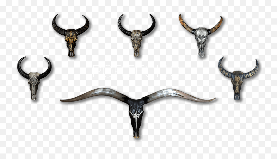 Horn - Bull Png,Bull Horns Png
