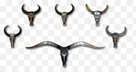 Horn - Bull png