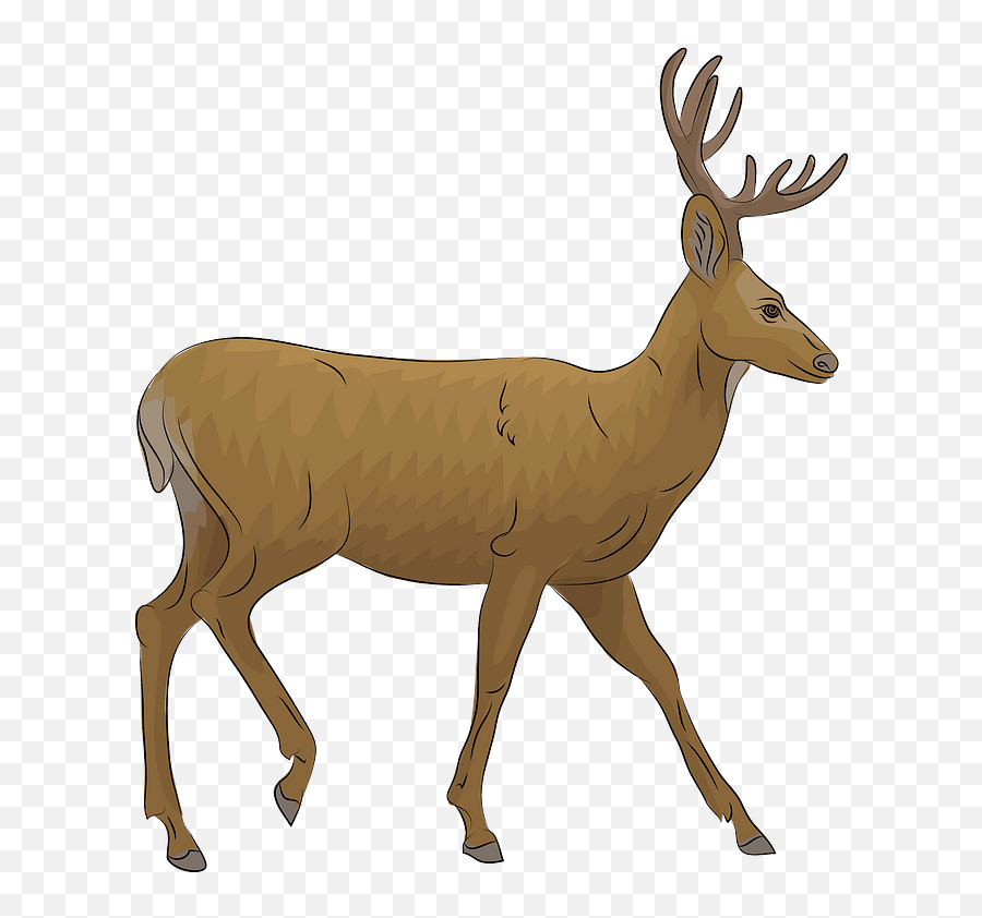 Mule Deer Clipart - Elk Png,Deer Transparent