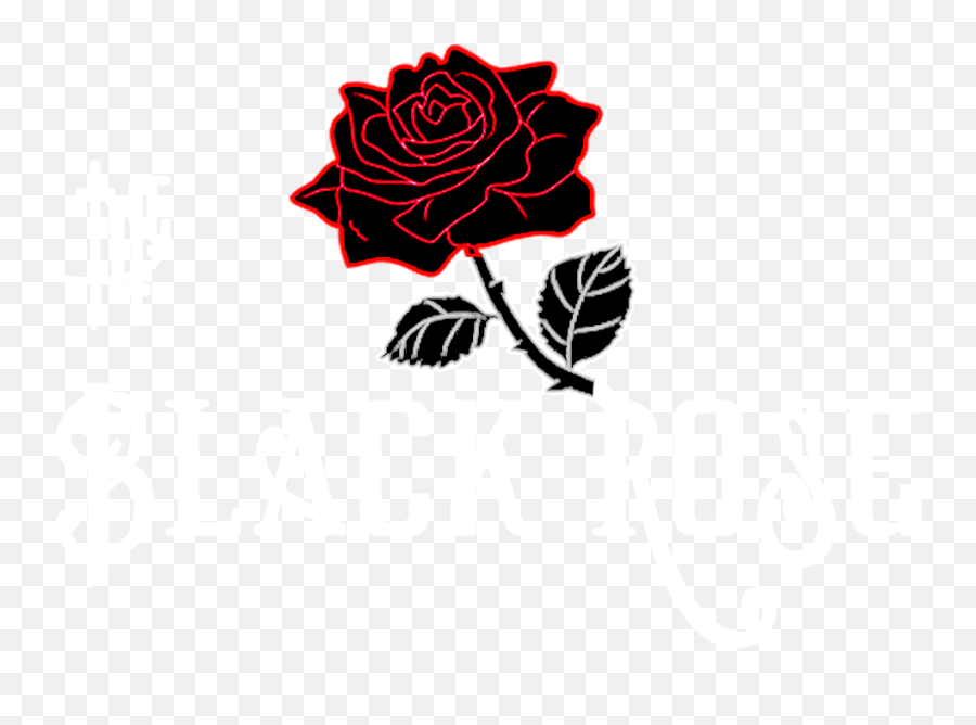 Download Black Rose 960x720 - Floral Png,Black Roses Png