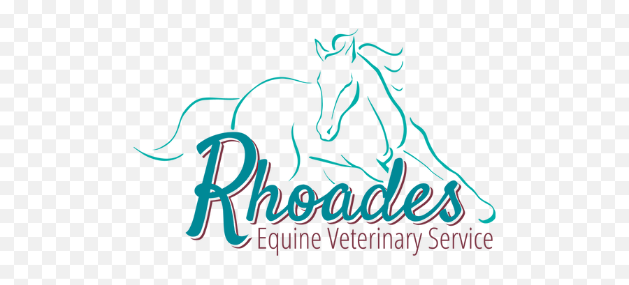 Rhoades Equine Vet Service Franklin County Mo - Graphic Design Png,Veterinarian Png